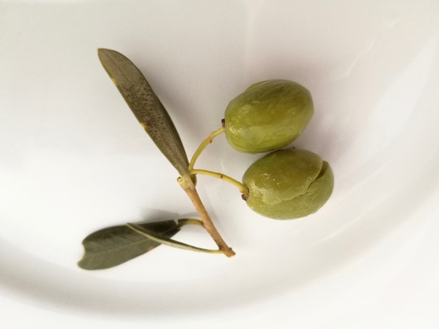 Olive. Photo © Karethe Linaae